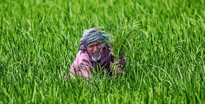 ভার্মি কম্পোষ্ট উৎপাদন পদ্ধতি